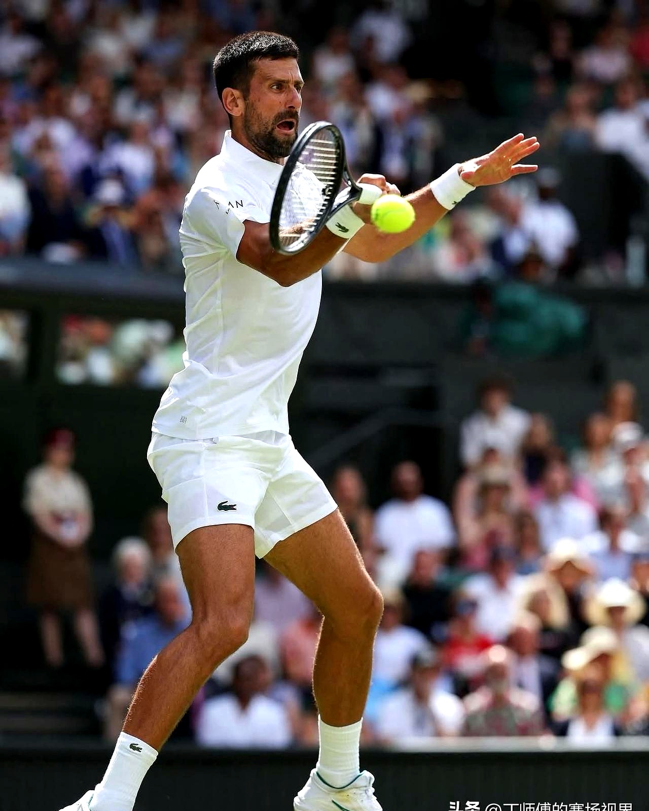 德约科维奇迎来十五赛季高光表现,日本队球迷沸腾!的简单介绍 德约科维奇迎来十五赛季高光表现,日本队球迷沸腾!的简单介绍